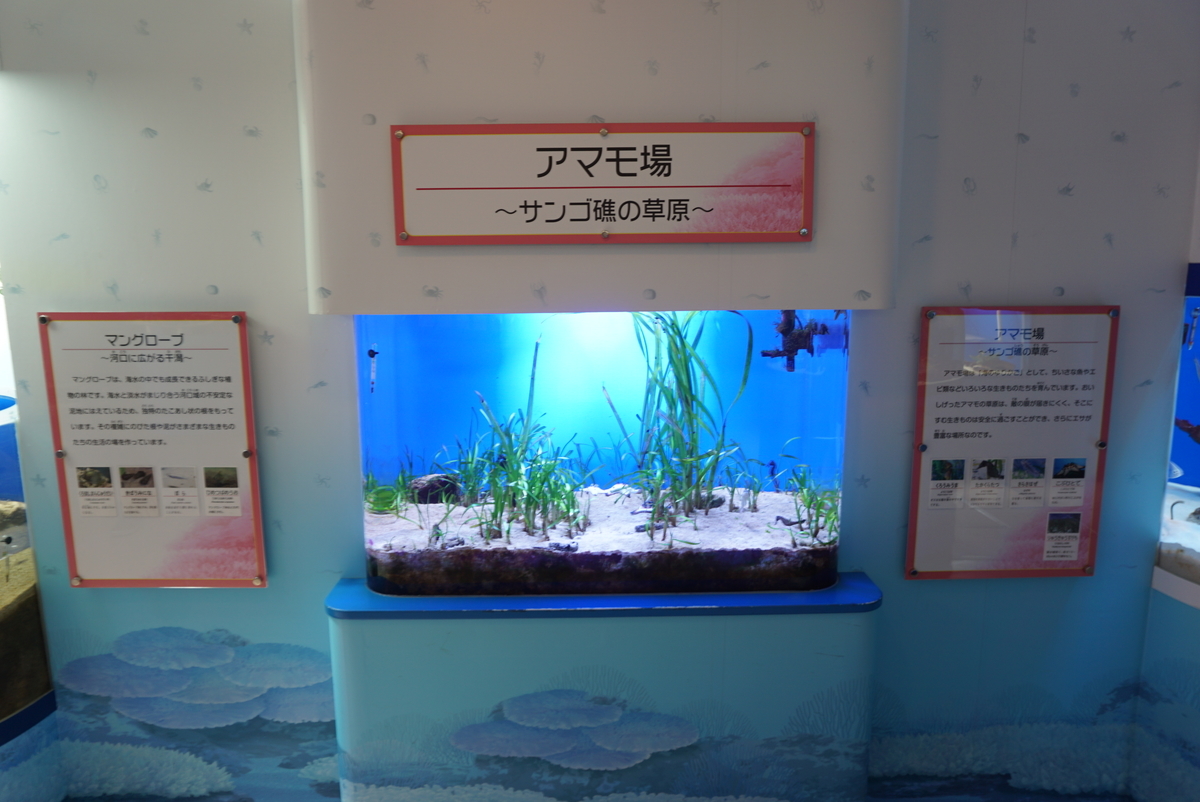 f:id:yatablog:20190805194219j:plain f:id:yatablog:20190805194219j:plain