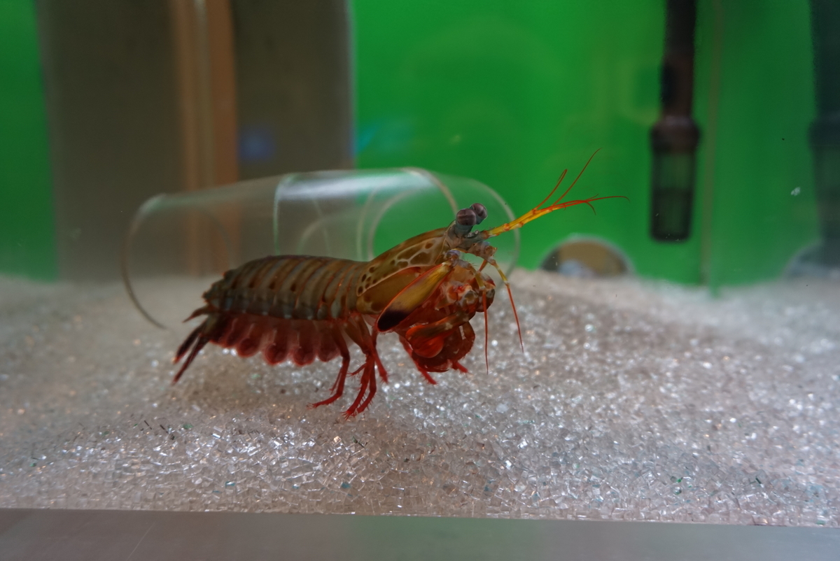f:id:yatablog:20190806183338j:plain f:id:yatablog:20190806183338j:plain