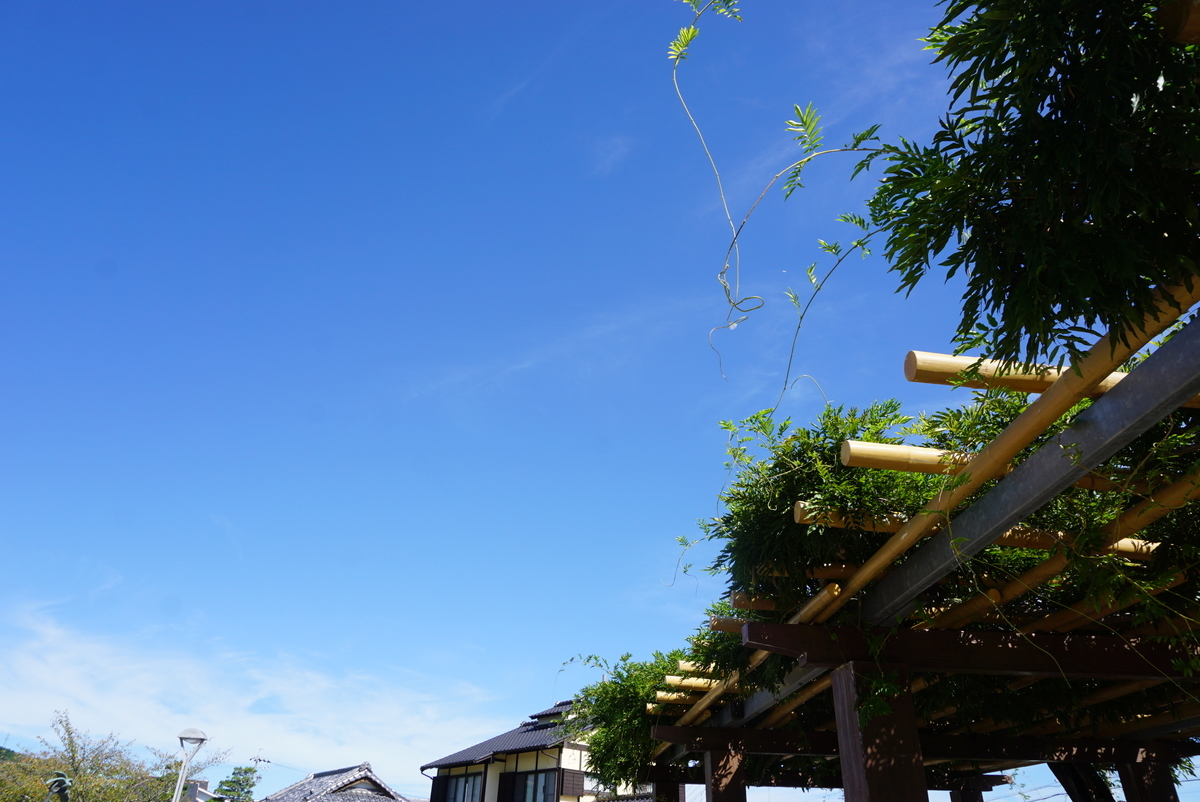 f:id:yatablog:20191104134733j:plain f:id:yatablog:20191104134733j:plain