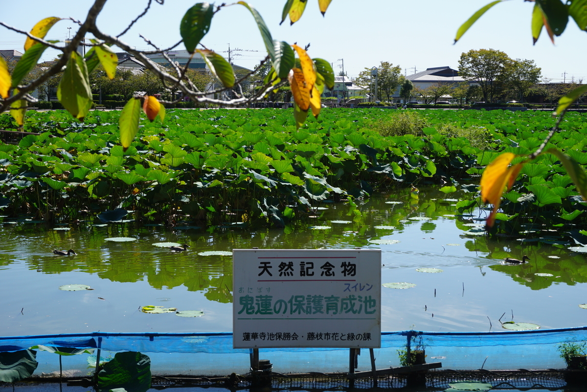 f:id:yatablog:20191104135324j:plain f:id:yatablog:20191104135324j:plain