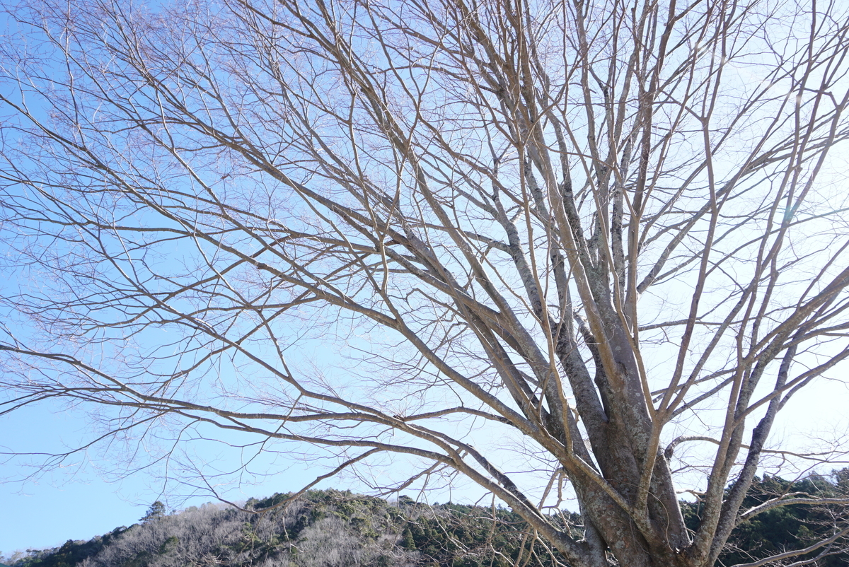 f:id:yatablog:20200209181835j:plain f:id:yatablog:20200209181835j:plain