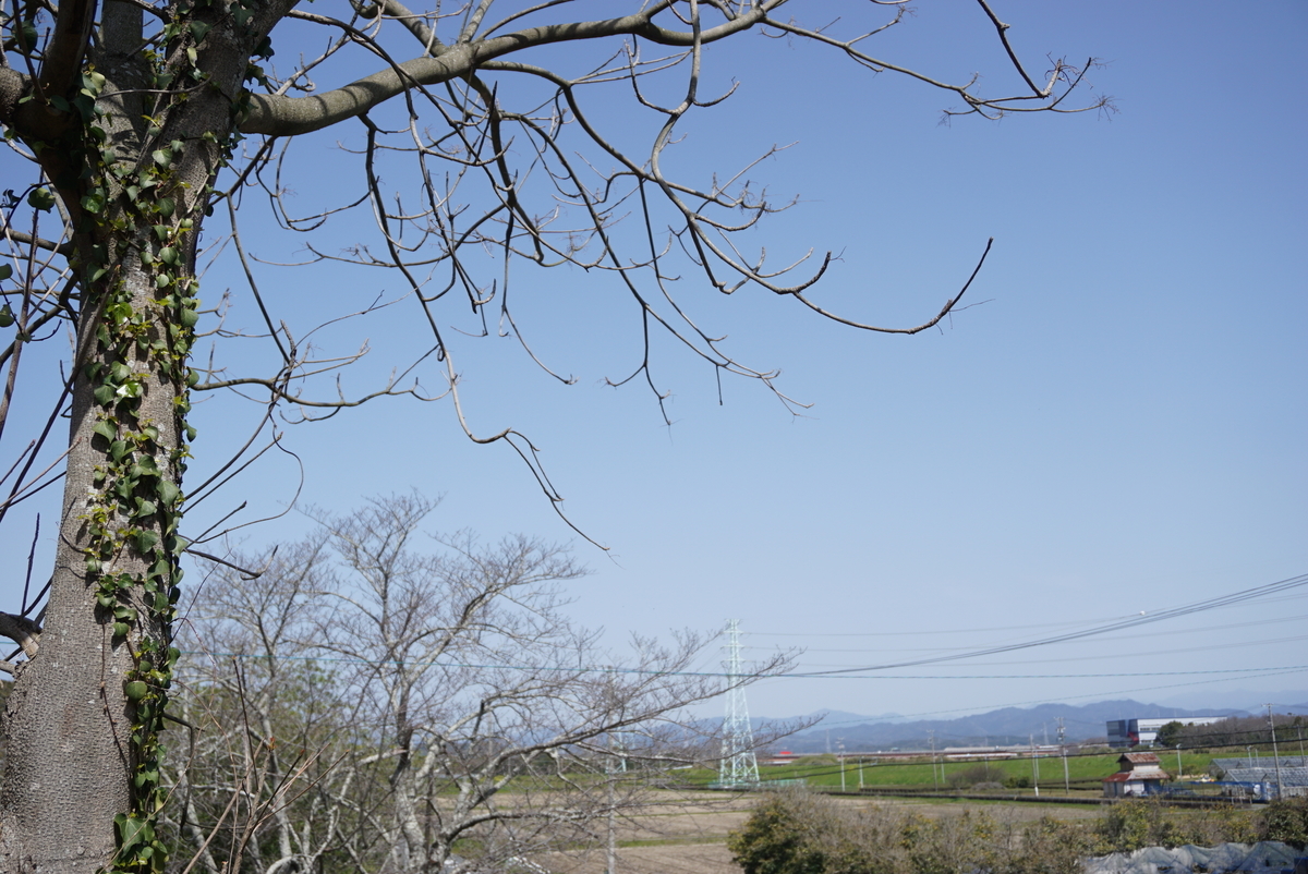 f:id:yatablog:20200321184326j:plain f:id:yatablog:20200321184326j:plain
