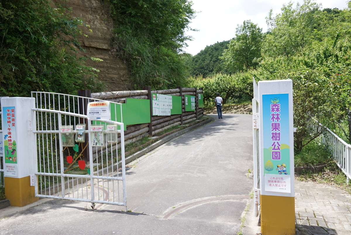 f:id:yatablog:20200523175005j:plain f:id:yatablog:20200523175005j:plain