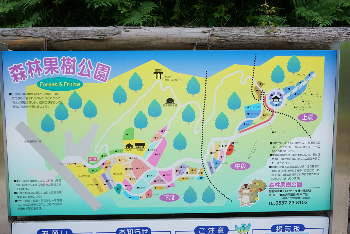 f:id:yatablog:20200523175238j:plain f:id:yatablog:20200523175238j:plain