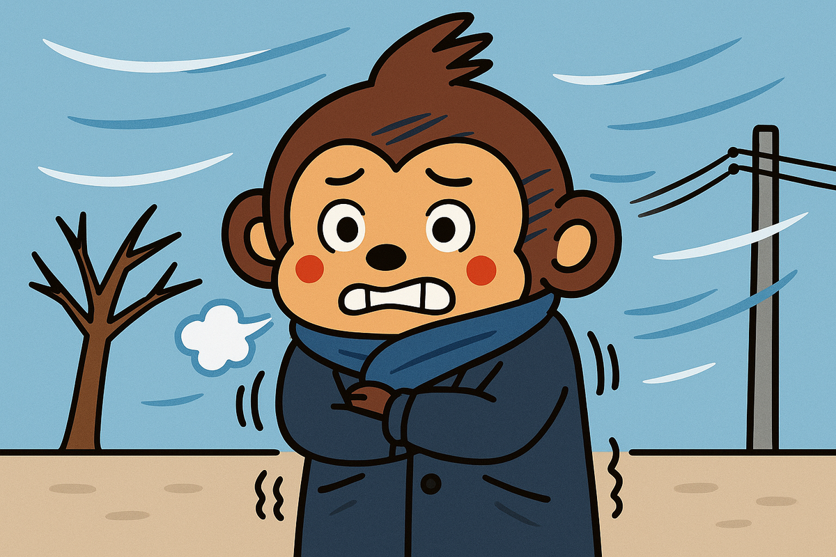 寒すぎます