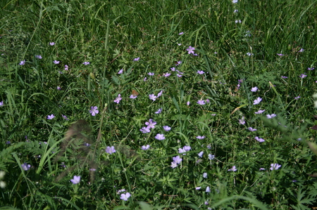 f:id:yatsugatake:20070819140054j:image f:id:yatsugatake:20070819140054j:image