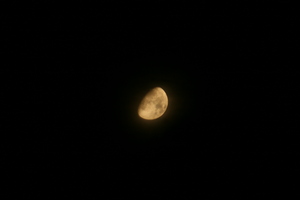 f:id:yatsugatake:20070823220716j:image:right