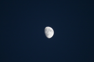 f:id:yatsugatake:20071022171043j:image:left