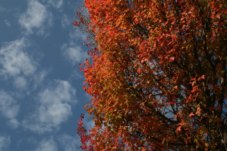 f:id:yatsugatake:20071025142048j:image f:id:yatsugatake:20071025142048j:image