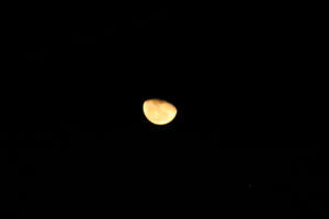 f:id:yatsugatake:20080127224425j:image:left f:id:yatsugatake:20080127224425j:image:left