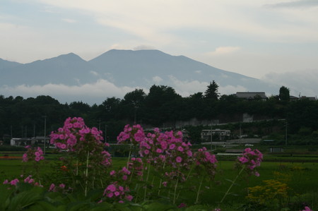 f:id:yatsugatake:20080806153803j:image f:id:yatsugatake:20080806153803j:image
