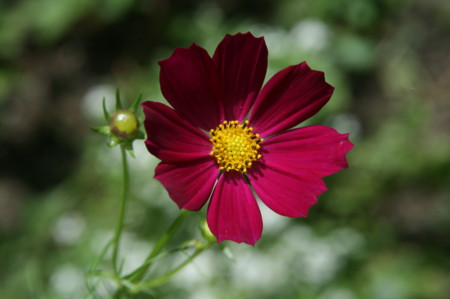 f:id:yatsugatake:20080818095124j:image f:id:yatsugatake:20080818095124j:image