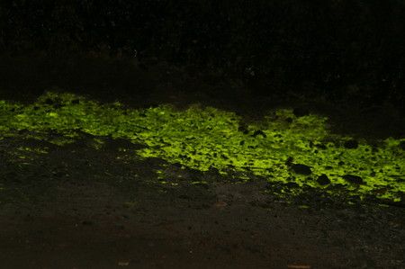 f:id:yatsugatake:20080826105342j:image f:id:yatsugatake:20080826105342j:image
