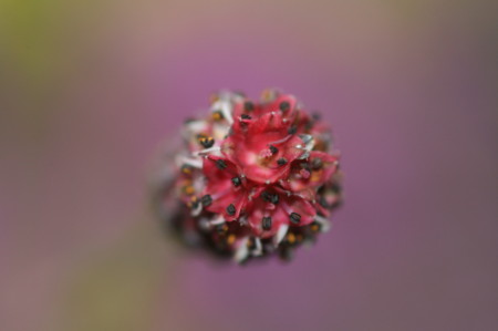 f:id:yatsugatake:20080921102121j:image