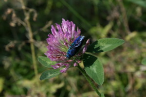 f:id:yatsugatake:20081019102516j:image:right f:id:yatsugatake:20081019102516j:image:right