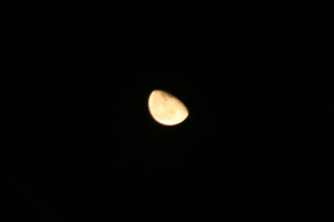 f:id:yatsugatake:20081019220826j:image:left f:id:yatsugatake:20081019220826j:image:left