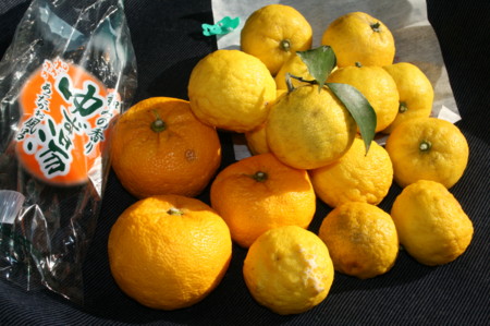 f:id:yatsugatake:20081220103211j:image f:id:yatsugatake:20081220103211j:image