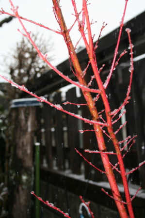 f:id:yatsugatake:20100228082430j:image:left f:id:yatsugatake:20100228082430j:image:left