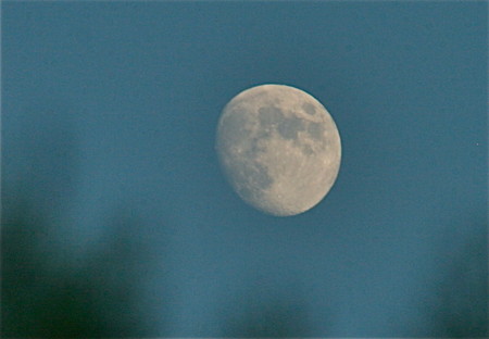 f:id:yatsugatake:20110909174917j:image