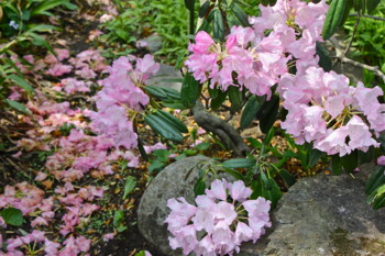 f:id:yatsugatake:20120507093333j:image:left f:id:yatsugatake:20120507093333j:image:left