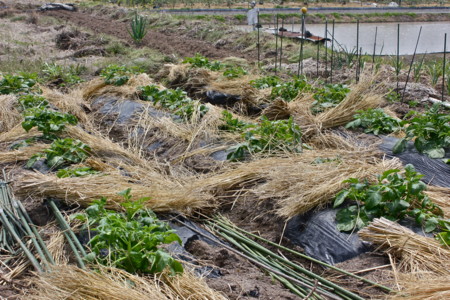 f:id:yatsugatake:20120514110145j:image