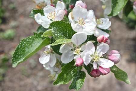 f:id:yatsugatake:20120514110301j:image