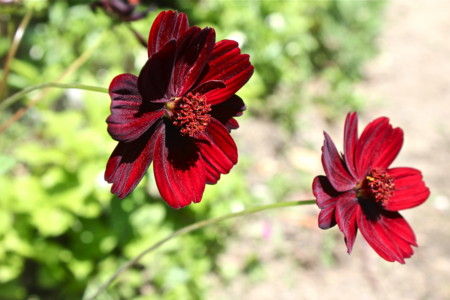 f:id:yatsugatake:20120519125030j:image f:id:yatsugatake:20120519125030j:image