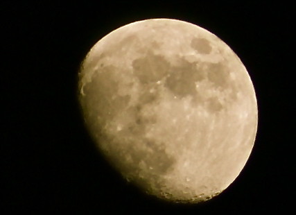 f:id:yatsugatake:20121224173833j:image f:id:yatsugatake:20121224173833j:image
