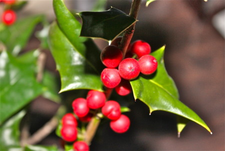 f:id:yatsugatake:20121224192937j:image f:id:yatsugatake:20121224192937j:image