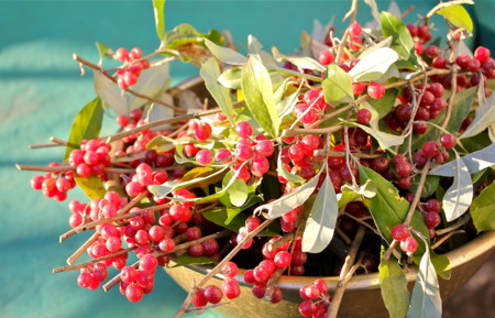 f:id:yatsugatake:20131113155500j:image f:id:yatsugatake:20131113155500j:image