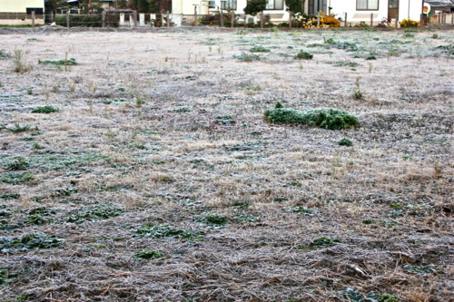 f:id:yatsugatake:20131117063638j:image f:id:yatsugatake:20131117063638j:image