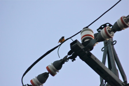 f:id:yatsugatake:20131117063910j:image f:id:yatsugatake:20131117063910j:image