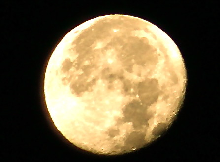 f:id:yatsugatake:20131120054858j:image f:id:yatsugatake:20131120054858j:image