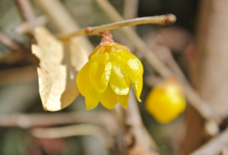 f:id:yatsugatake:20140131124702j:image f:id:yatsugatake:20140131124702j:image