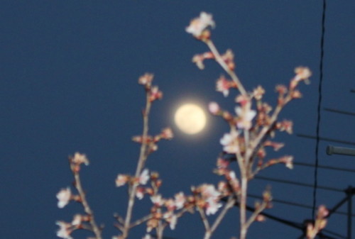 f:id:yatsugatake:20140413182957j:image f:id:yatsugatake:20140413182957j:image