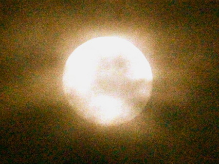 f:id:yatsugatake:20140711194634j:image