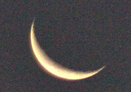 夜明け前、「閏九月二十七日」のお月さま。(26.11.19)(6:16)