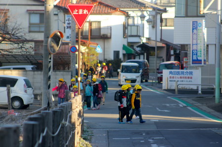 寒い朝、元気に登校する小学生。(26.11.19)(