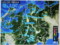 雨（雪）雲レーダーの画像。(26.12.13)