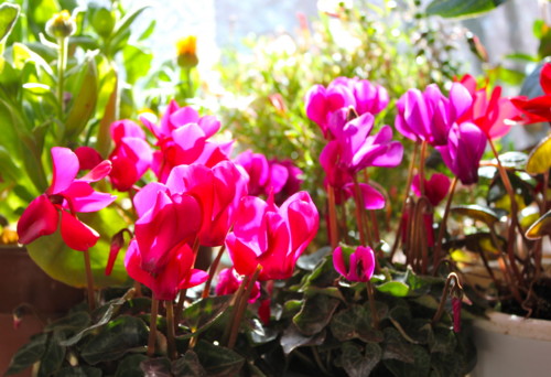 f:id:yatsugatake:20141222123208j:image