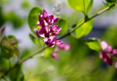 f:id:yatsugatake:20150726113257j:image f:id:yatsugatake:20150726113257j:image