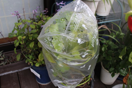 f:id:yatsugatake:20151117141018j:image f:id:yatsugatake:20151117141018j:image