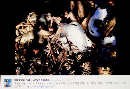 f:id:yatsugatake:20151218135438j:image f:id:yatsugatake:20151218135438j:image