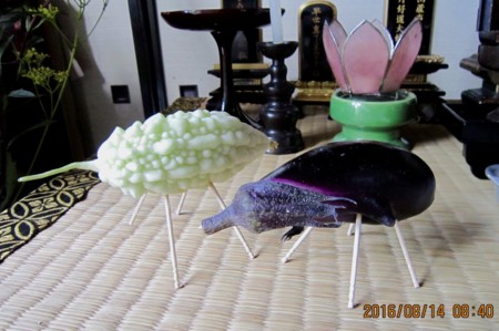 f:id:yatsugatake:20160814084048j:image