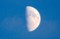「八月十日」のお月さま。(28.9.10)(17:45)