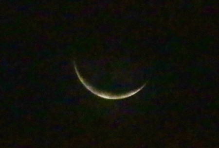 薄雲を透かし、「八月二十八日」のお月さま。(28.9.28)(5:04)