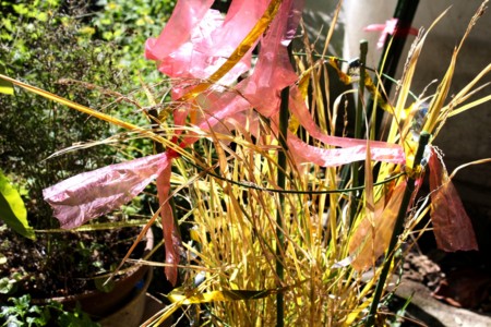 f:id:yatsugatake:20161018115921j:image f:id:yatsugatake:20161018115921j:image
