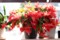 居間の窓辺で、真っ盛りの「クリスマス・カクタス」。(28.12.1)