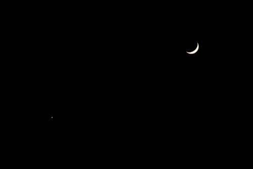 「宵の明星・金星」と、「霜月五日」のお月さま。(28.12.3)(17:27)