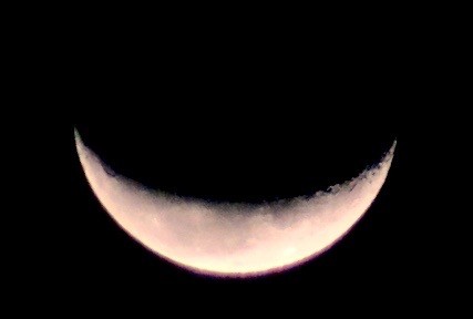 「霜月二十六日」のお月さま、向きを変更した画像。(28.12.24)(6:09)